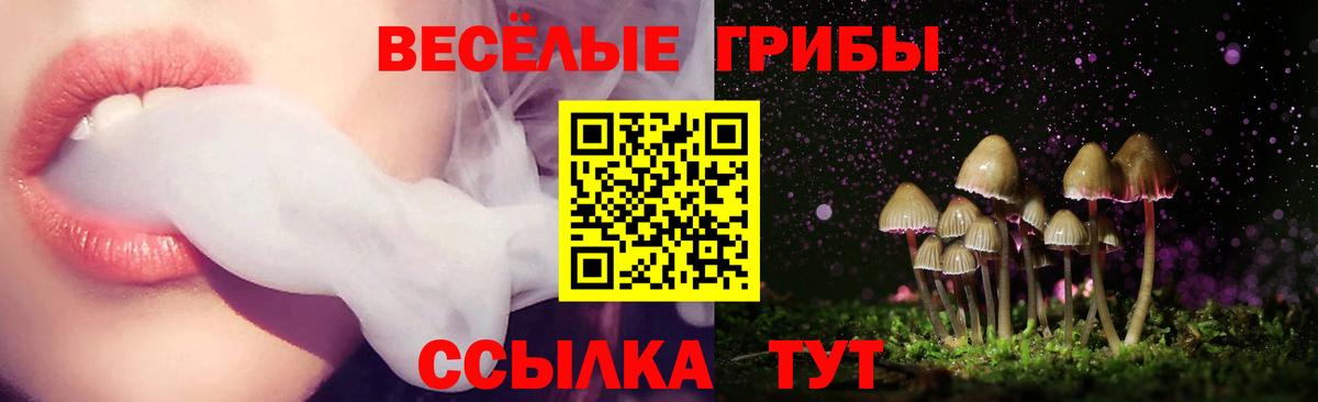 Псилоцибиновые грибы Magic Shrooms  Вход с VPN  Щёкино 